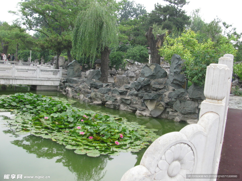 园林景观
