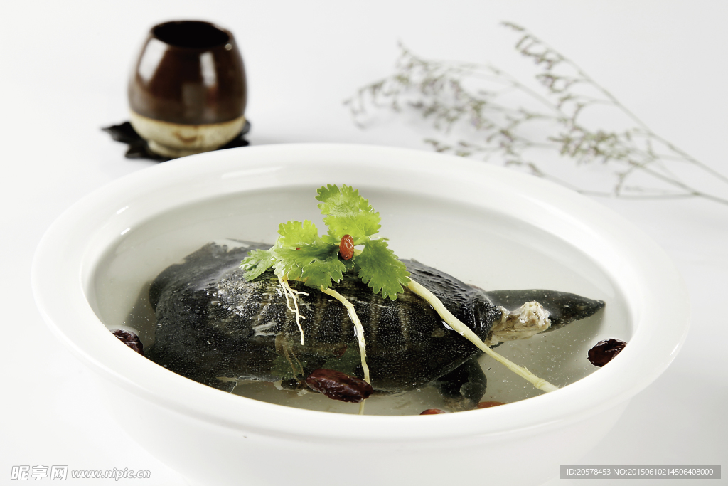 枸杞当参炖甲鱼