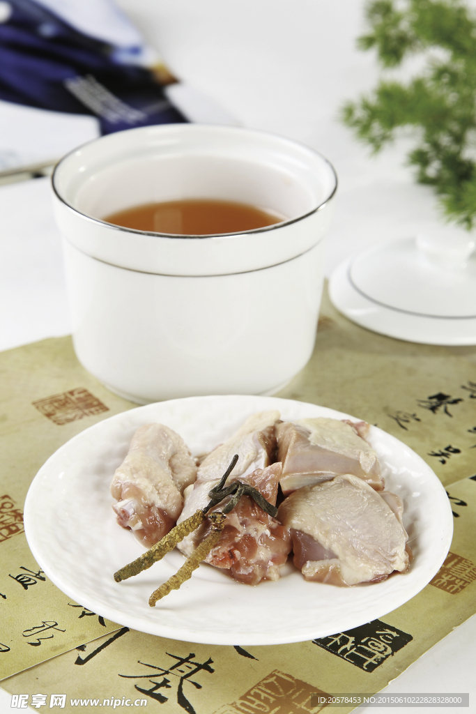 虫草炖乳鸽
