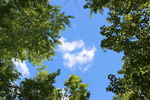 仰望天空