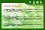 驾校制度