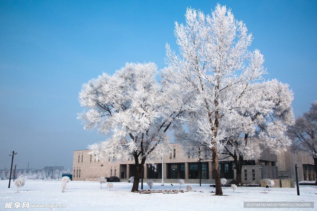 东北雪景