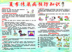 夏季传染病预防知识