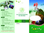 旅行社宣传三折页