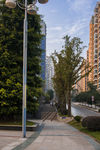 城市风貌 城市道路 城市绿化