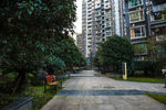 城市风貌 城市道路 城市绿化