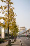 城市风貌 城市道路 城市绿化