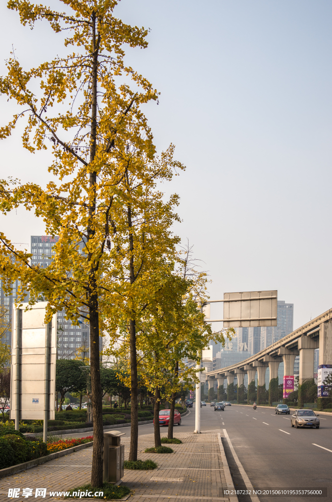 城市风貌 城市道路 城市绿化