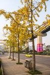 城市风貌 城市道路 城市绿化