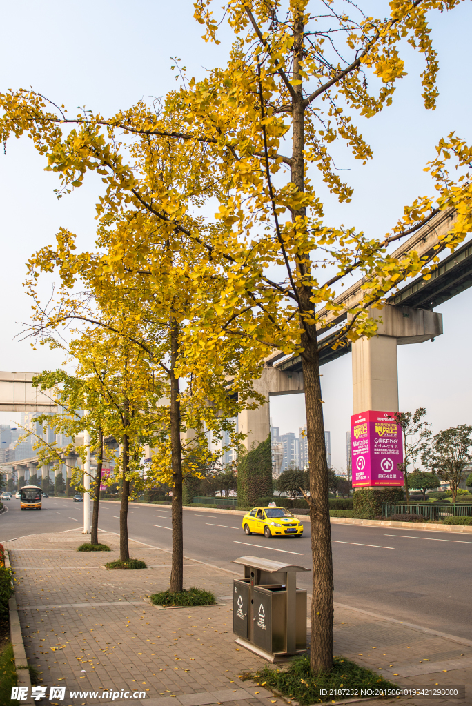 城市风貌 城市道路 城市绿化