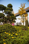 城市风貌 城市道路 城市绿化