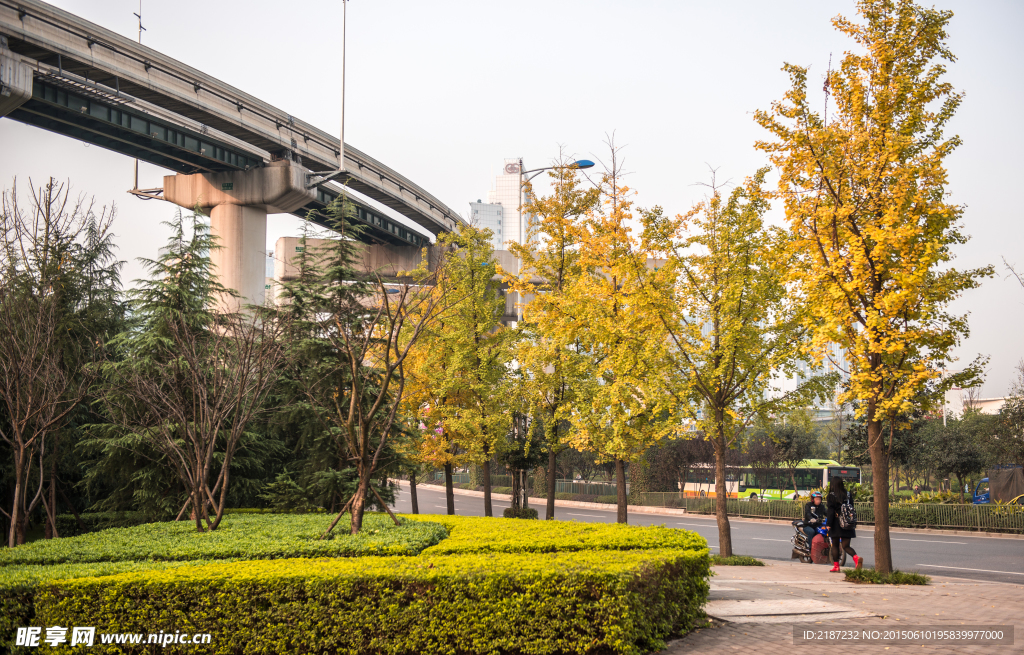 城市风貌 城市道路 城市绿化