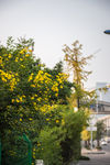 城市风貌 城市道路 城市绿化