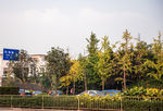 城市风貌 城市道路 城市绿化