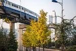 城市风貌 城市道路 城市绿化