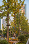 城市风貌 城市道路 城市绿化