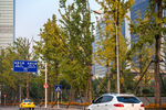 城市风貌 城市道路 城市绿化
