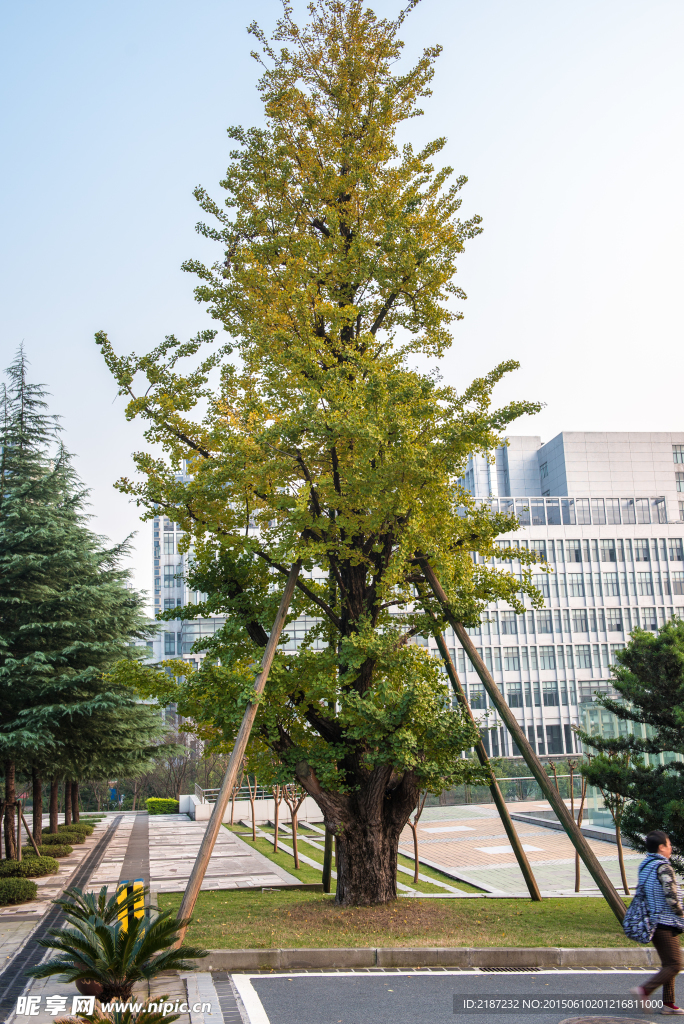 城市风貌 城市道路 城市绿化