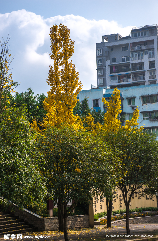 城市风貌 城市道路 城市绿化