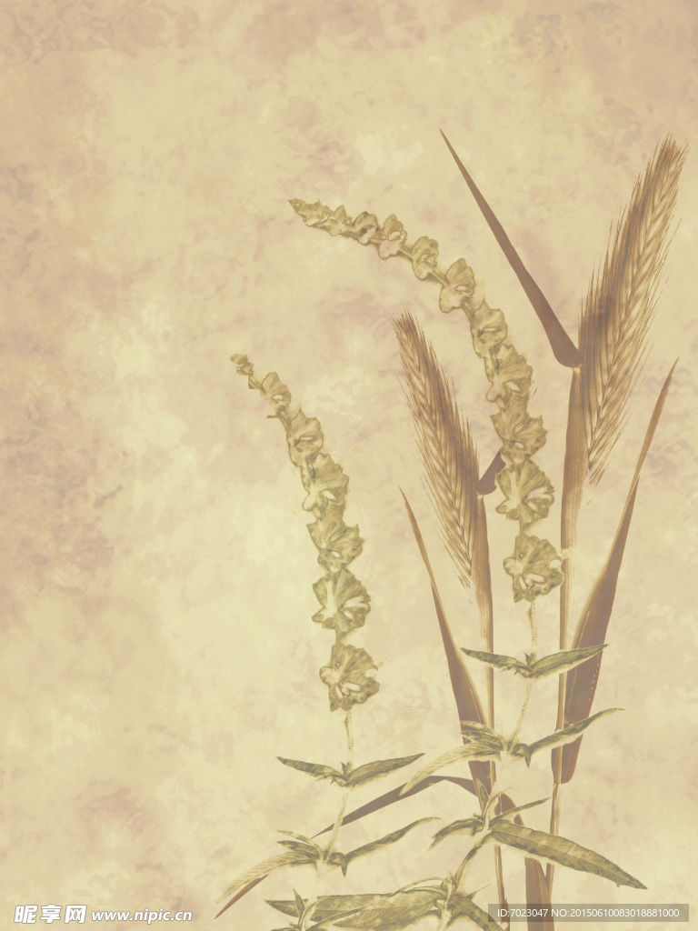 植物底纹 时尚花纹