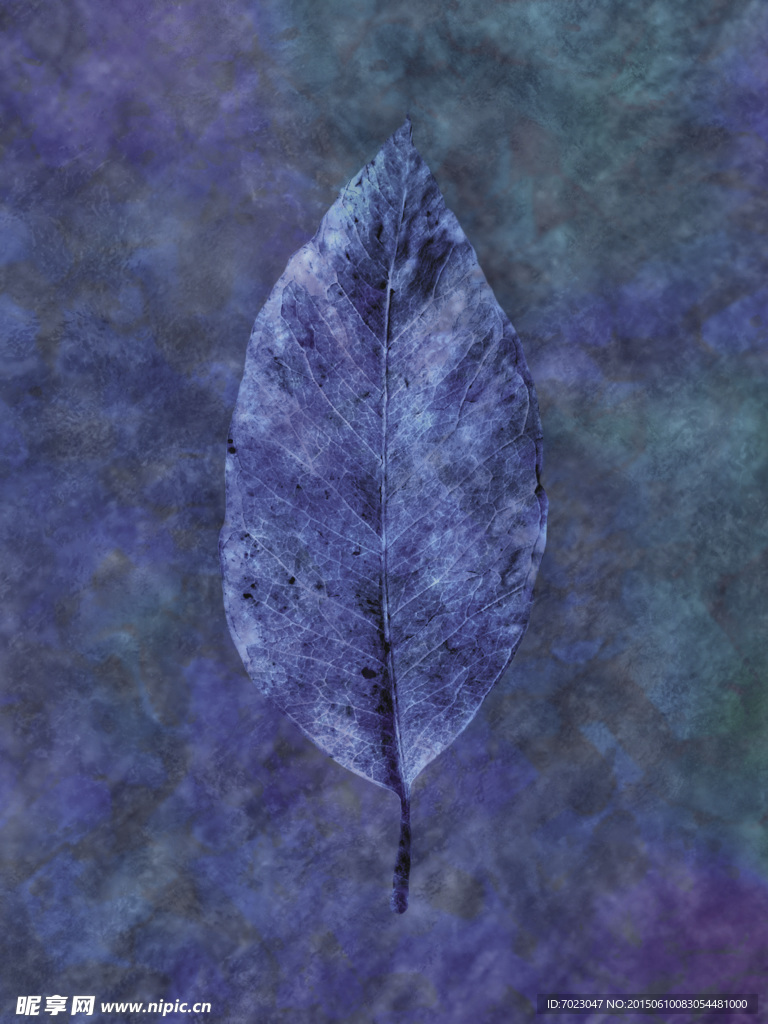 植物底纹 时尚花纹