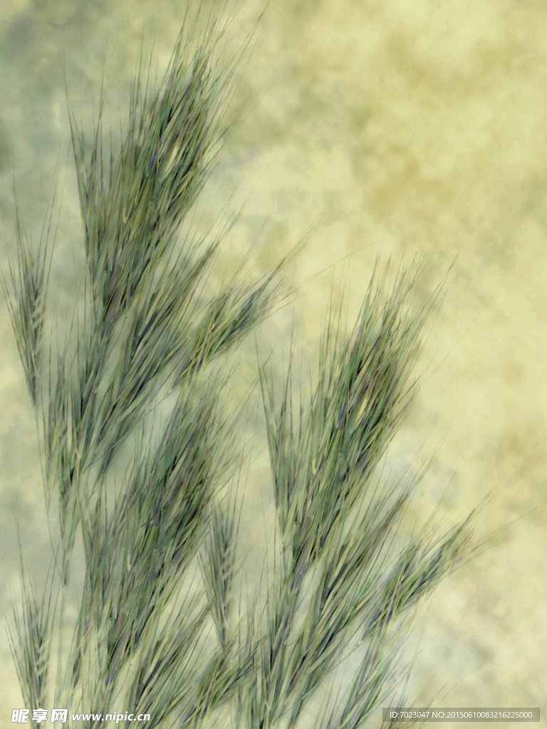 植物底纹 时尚花纹