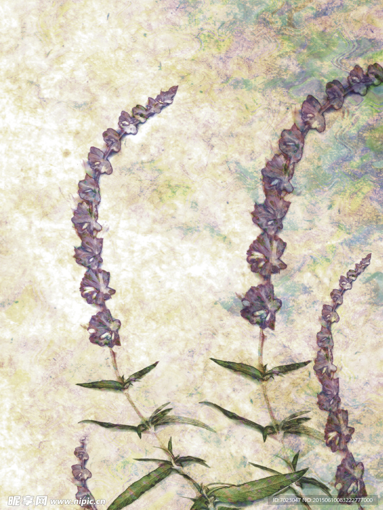 植物底纹 时尚花纹