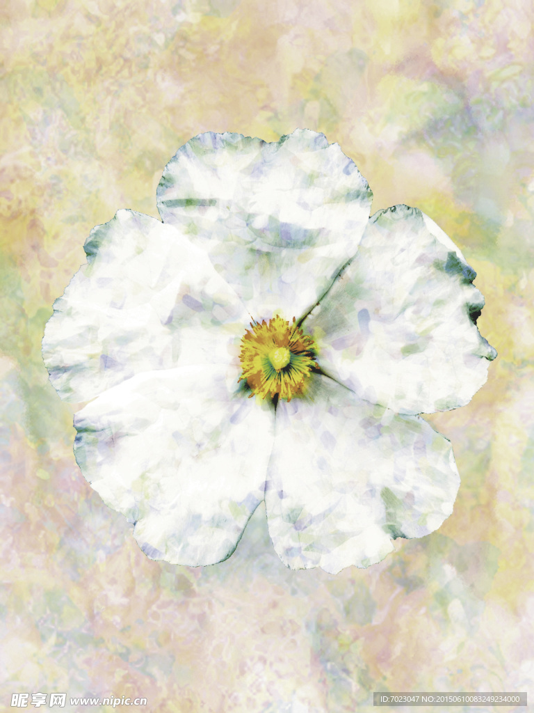植物底纹 时尚花纹