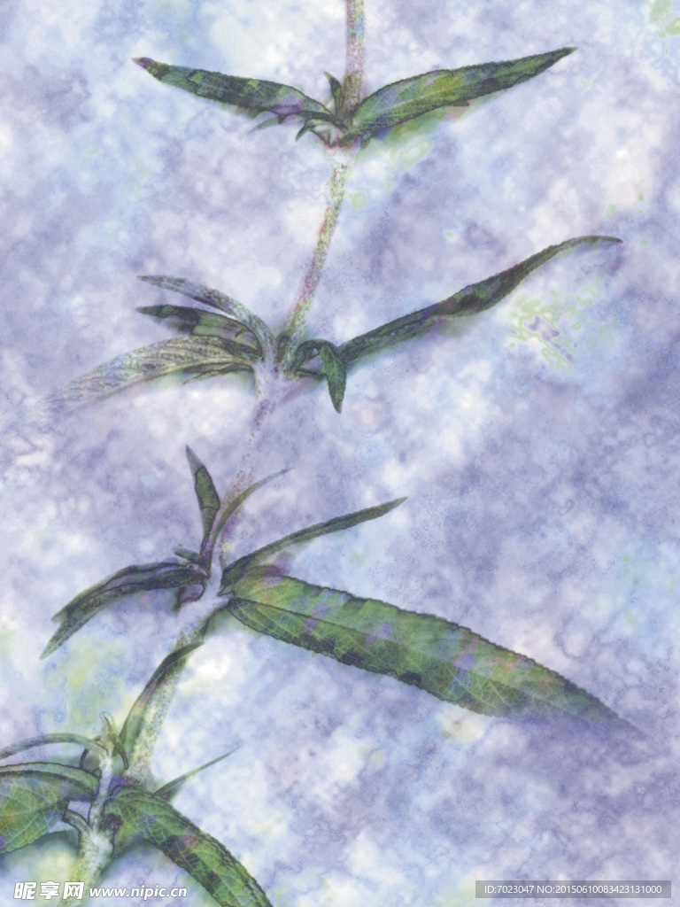植物底纹 时尚花纹