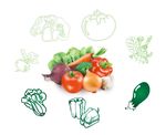 蔬菜素描和蔬菜高清图