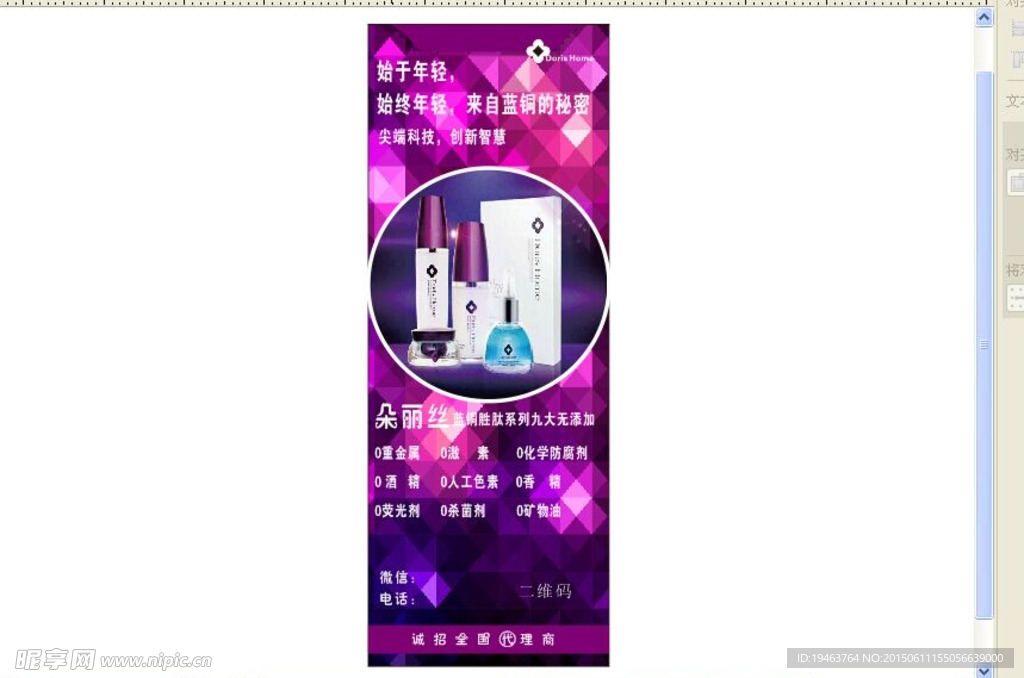 朵丽丝展架