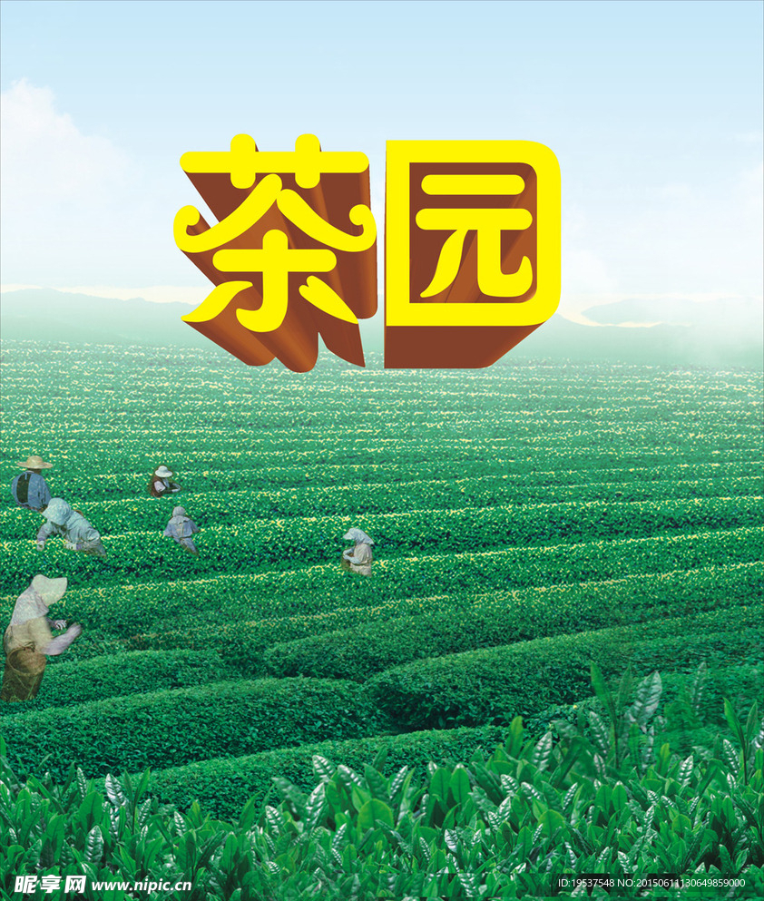茶园