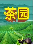 茶园