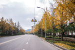 城市风貌 城市道路 城市绿化