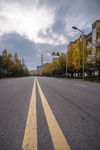 城市风貌 城市道路 城市绿化