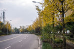 城市风貌 城市道路 城市绿化