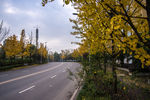 城市风貌 城市道路 城市绿化