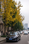 城市风貌 城市道路 城市绿化