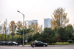 城市风貌 城市道路 城市绿化