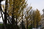 城市风貌 城市道路 城市绿化