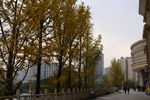 城市风貌 城市道路 城市绿化