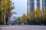 城市风貌 城市道路 城市绿化