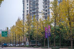 城市风貌 城市道路 城市绿化