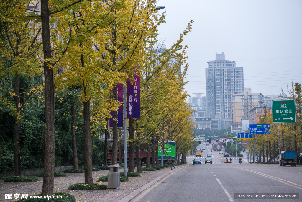 城市风貌 城市道路 城市绿化