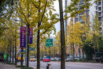 城市风貌 城市道路 城市绿化