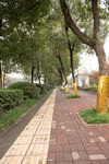 城市风貌 城市道路 城市绿化