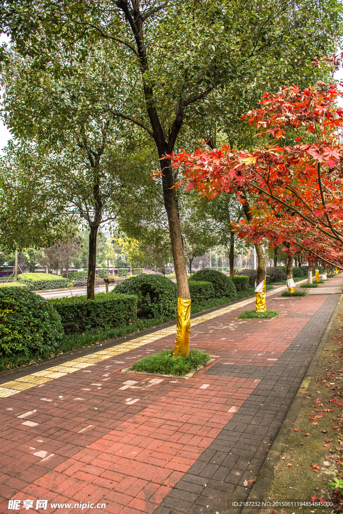 城市风貌 城市道路 城市绿化