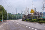 城市风貌 城市道路 城市绿化