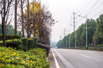 城市风貌 城市道路 城市绿化