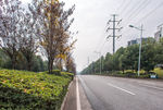 城市风貌 城市道路 城市绿化
